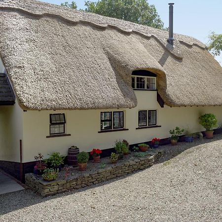 The Cottage Richards Castle Экстерьер фото
